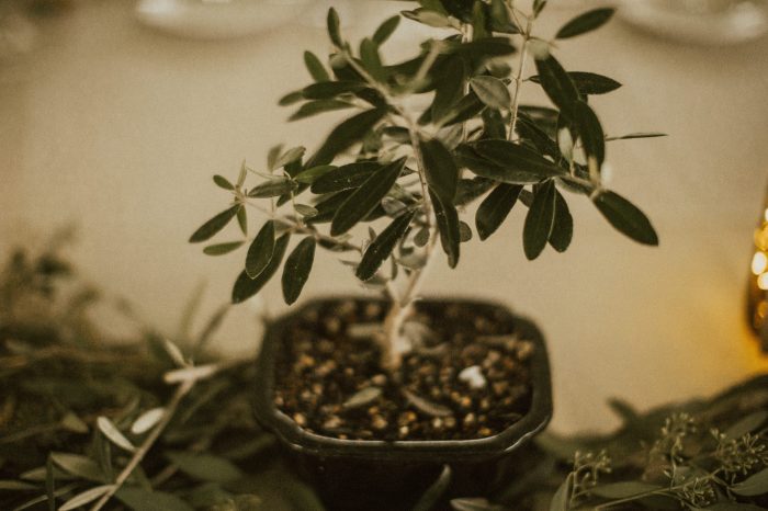 VirginiaWeddigininHuntlyatGlenGordonMannorbyNashvilleWeddingPhotographerSaulCervantes-Kristen&amp;Dash-683